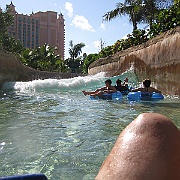 Picture 010